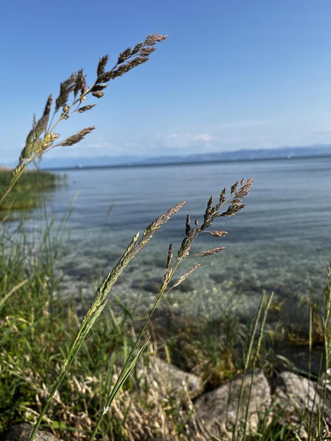 Kling Am See Фридрихсхафен Экстерьер фото